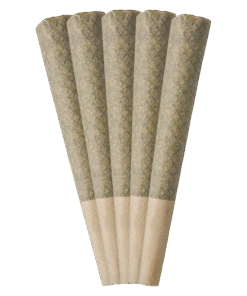 Alternative view of Tribal - Neon Sunshine PR 5 x 0.6 g (HYBRID)