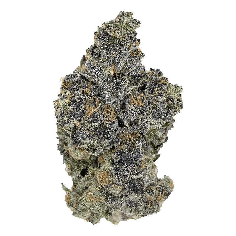 Pistol and Paris - Blackout Bobby (INDICA) - Image 2