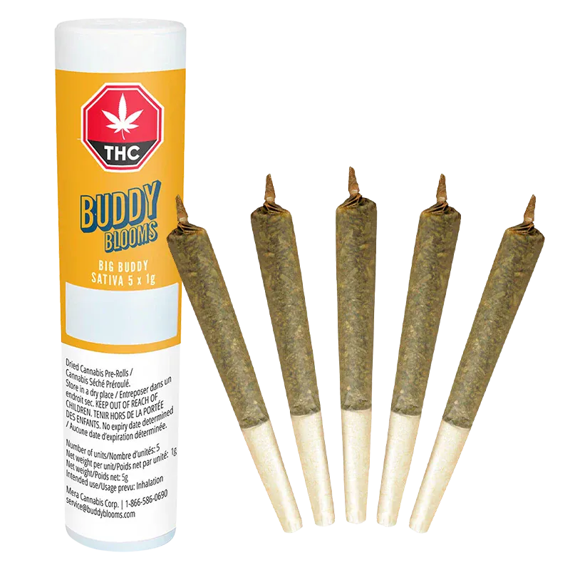 Buddy Blooms - Big Buddy PR 5 x 1 g (SATIVA)