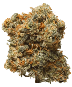 Alternative view of 1964 - Blue Dream (SATIVA)