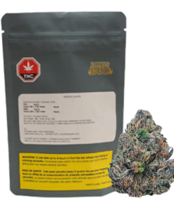 Bonus Bud - Modified Grapes (INDICA)