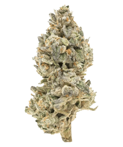 Alternative view of Simply Bare - BC Organic Pineapple Sour (INDICA)