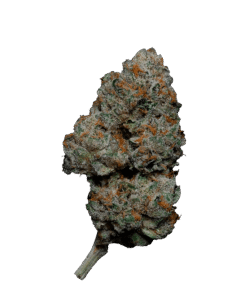 Alternative view of Cannabis Brothers - Lemon Cherry Gelato (INDICA)