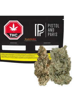 Pistol and Paris - Flavours Variety Pack (HYBRID)
