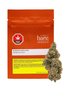 Simply Bare - BC Organic Cement Shoes (INDICA)