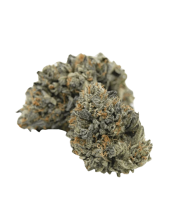 Alternative view of Happy Hour - Harmony Haze Lawp (SATIVA)