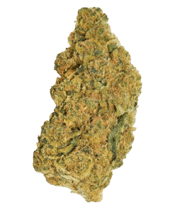 Alternative view of Redecan - Snow Cherry OG (INDICA)