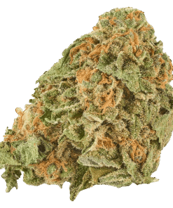 Alternative view of Good Supply - Grand Daddy Purps (INDICA)