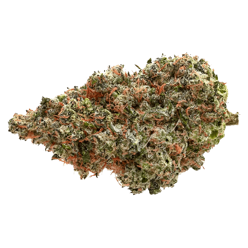 Pure Sunfarms - Neon Lambo (INDICA) - Image 2