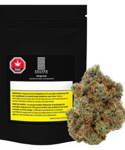 Encore - Mango Kush (INDICA)