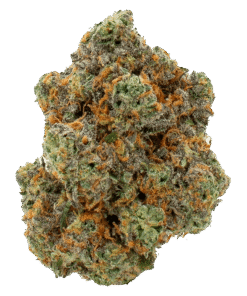 Alternative view of Encore - Mango Kush (INDICA)