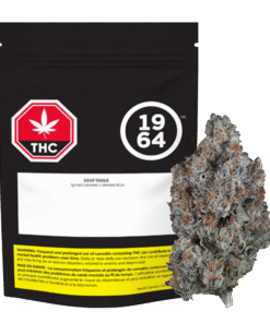 1964 - Sour Tangie (SATIVA)