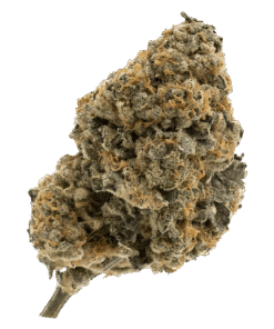 Alternative view of FIGR - Kandy Cake (INDICA)