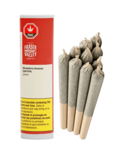 The Original Fraser Valley Weed Co. - Strawberry Amnesia PR 10 x 0.5 g (SATIVA)