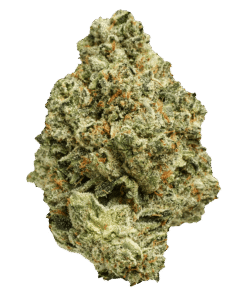 Alternative view of Pepe - Lemon Splash (SATIVA)