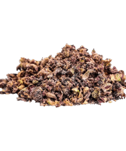 Alternative view of Tenzo - Fun Trip (HYBRID)