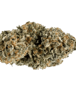 Alternative view of Volo - Orange Turp (SATIVA)