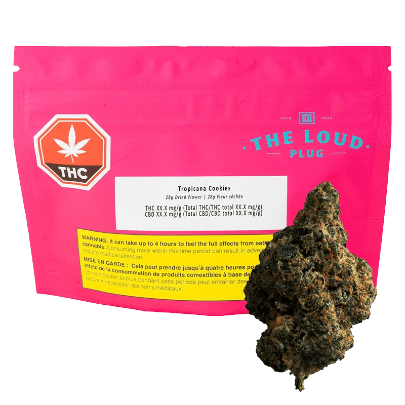 The Loud Plug - Tropicana Cookies (HYBRID)