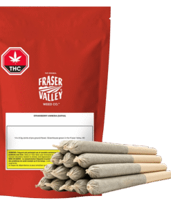 The Original Fraser Valley Weed Co. - Strawberry Amnesia Joints PR 14 x 0.5 g (SATIVA)