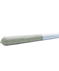 Alternative view of Wildlife - Galactic Cherry PR 10 x 0.3 g (INDICA)