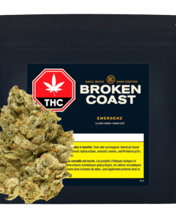 Broken Coast - Emergenz (SATIVA)