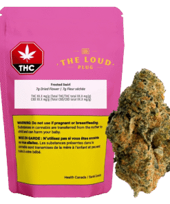 The Loud Plug - Frosted Swirl (INDICA)