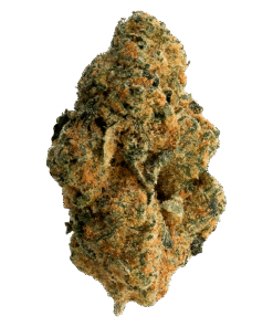 Alternative view of The Loud Plug - Frosted Swirl (INDICA)