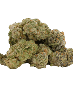 Alternative view of Castle Rock Farms - Glitterbomb X Rainbow Cheddar #5 (INDICA)