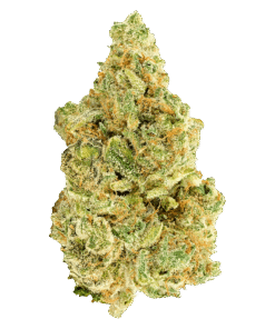 Alternative view of Versus - White Widow (SATIVA)
