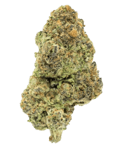 Alternative view of Encore - AAA+ Indica