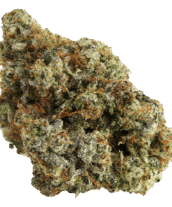 Alternative view of Northern Canna - Permanent Marker (INDICA)