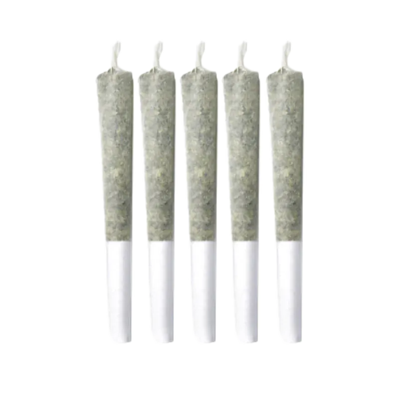 Sitka Legends - Cherry Chatter PR 5 x 0.5 g (SATIVA) - Image 2