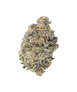 Alternative view of Crooked Dory - Pink Truffle (INDICA)
