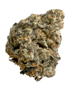 Alternative view of Kief Cannabis - Yuzu Sherb (SATIVA)