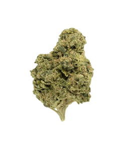 Alternative view of Crooked Dory - Garlic Fumez (HYBRID)