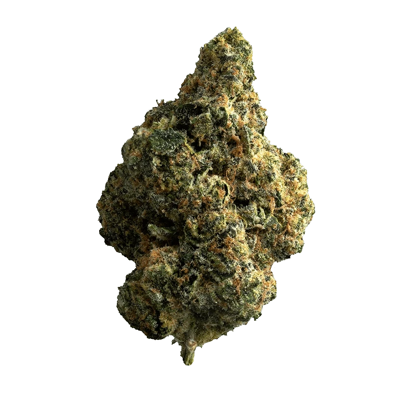 The Republic - Republic 25%+ (INDICA) - Image 2