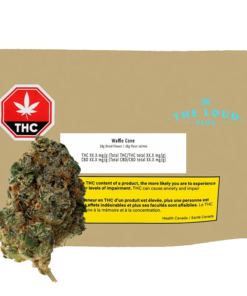 The Loud Plug - Waffle Cone (HYBRID)