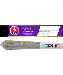 1Spliff - Grape Escape PR 1 x 0.5 g (HYBRID)