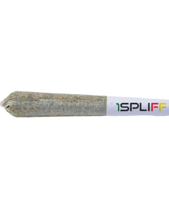 Alternative view of 1Spliff - Biscotti PR 2 x 1 g (HYBRID)