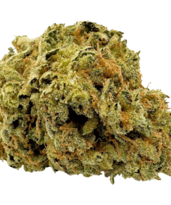 Alternative view of Viola - 1st Quarter (SATIVA)