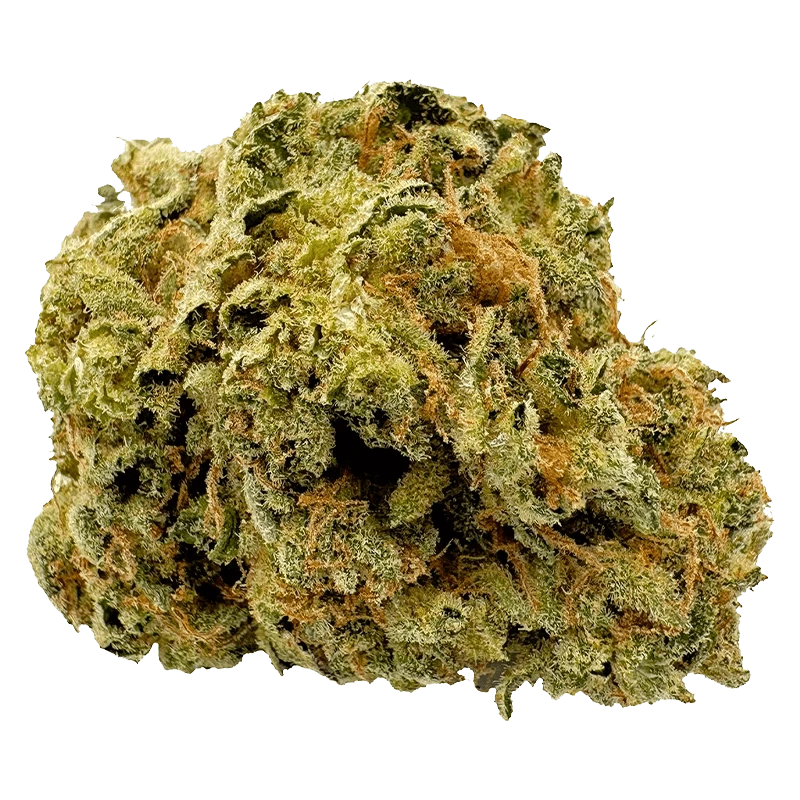 Viola - 1st Quarter (SATIVA) - Image 2