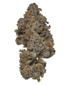 Alternative view of Coterie - Frosted Fruit Cake (INDICA)