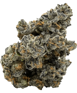 Alternative view of Pistol and Paris - Blackberry Breath (INDICA)