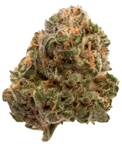 Alternative view of FIGR - Garlic Truffle (INDICA)