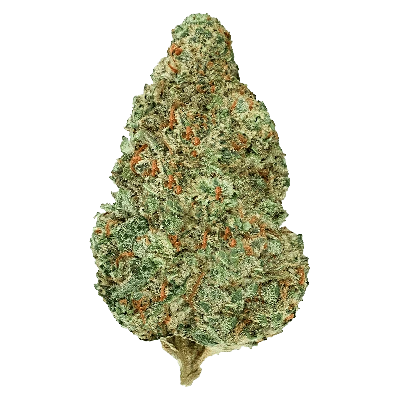 Back Forty - Chemzilla (INDICA) - Image 2