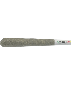 Alternative view of 1Spliff - Pineapplex PR 2 x 1 g (HYBRID)