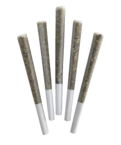 Alternative view of DEALR - Iced Zuchi PR 5 x 0.5 g (INDICA)