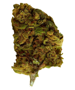 Alternative view of Versus - Bubba Kush (INDICA)
