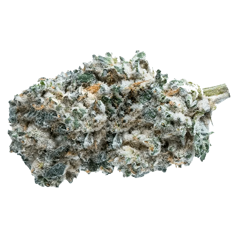 The Original Fraser Valley Weed Co. - Kush Breath (INDICA) - Image 2
