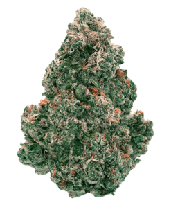 Alternative view of Back Forty - Liquid Imagination (HYBRID)